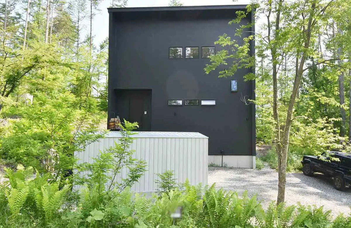81.jpg