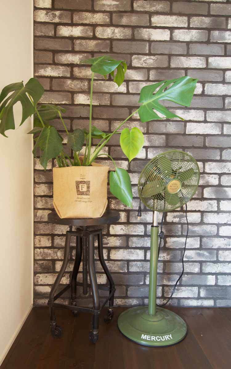 母屋